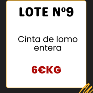 Lote N9