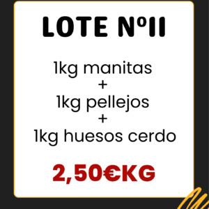 Lote N11