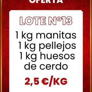 Lote N13