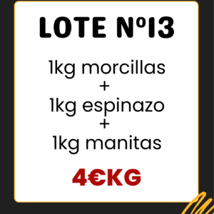 Lote N13