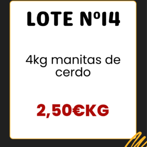 Lote N14