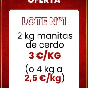 Lote N1